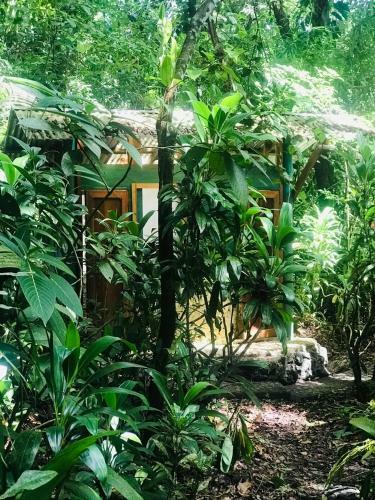 Hotel Finca Tatin