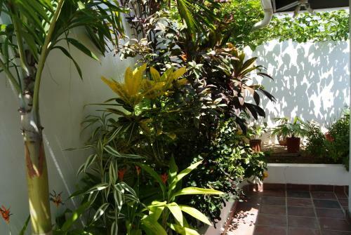 Bed & Breakfast Posada Del Mar