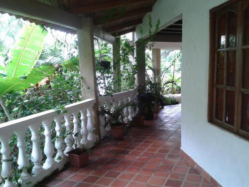 Bed & Breakfast Coibahouse