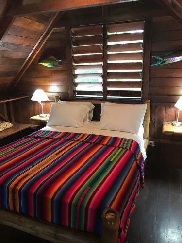 Lodge Green Parrot Beach Houses And Resort