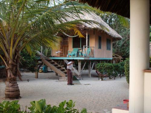 Lodge Green Parrot Beach Houses And Resort