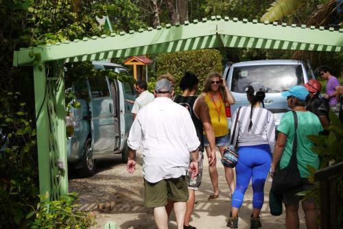 Lodge Green Parrot Beach Houses And Resort
