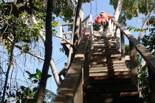 Lodge Green Parrot Beach Houses And Resort