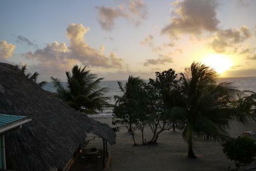 Lodge Green Parrot Beach Houses And Resort
