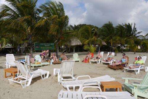 Lodge Green Parrot Beach Houses And Resort