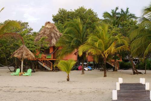 Lodge Green Parrot Beach Houses And Resort