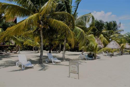 Lodge Green Parrot Beach Houses And Resort