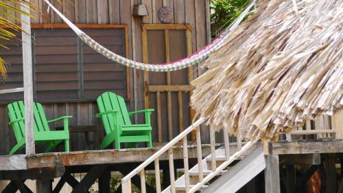 Lodge Green Parrot Beach Houses And Resort