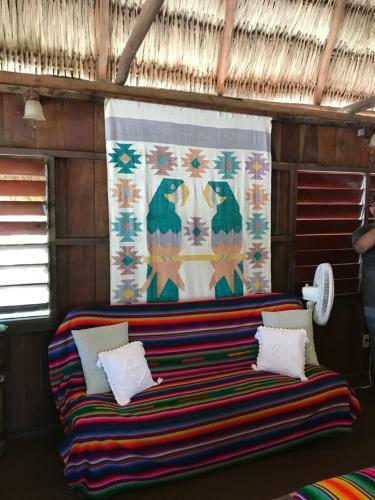 Lodge Green Parrot Beach Houses And Resort
