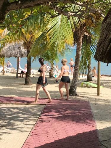 Lodge Green Parrot Beach Houses And Resort