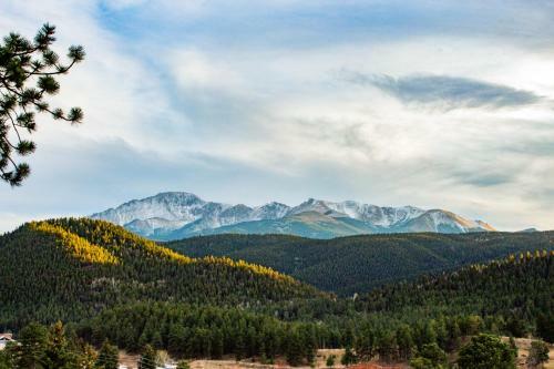 Bear Cabins