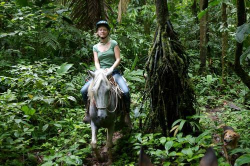 Selva Bananito Lodge