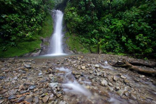 Selva Bananito Lodge