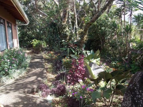 Bed & Breakfast Hotel Las Orquideas