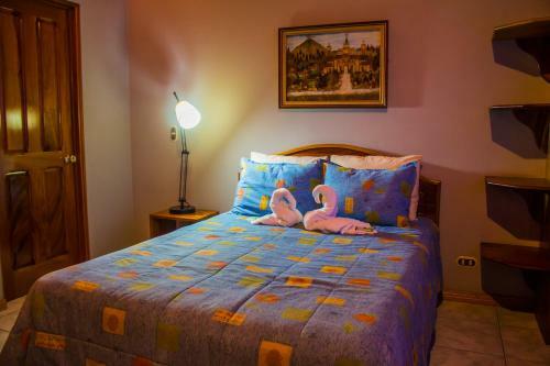 Bed & Breakfast Hotel Las Orquideas