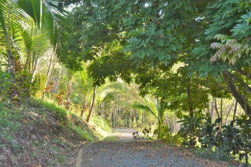 Bed & Breakfast Lodge Margouillat