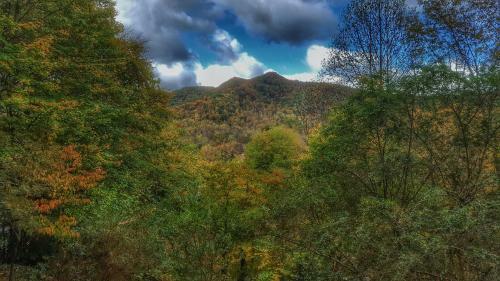Cottage In The Smoky Mountains