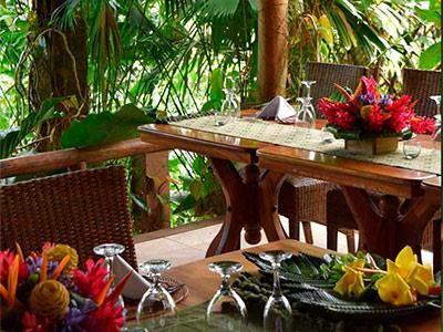 Hotel Lost Iguana Resort And Spa
