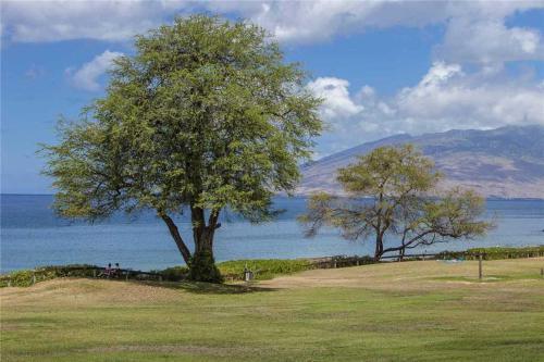 Apartamento Maui Parkshore 302 Condo