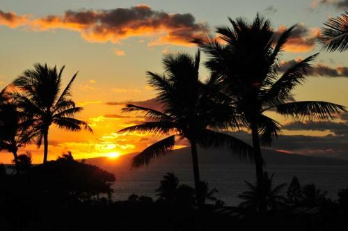 Apartamento Maui Kamaole #j-120 Condo