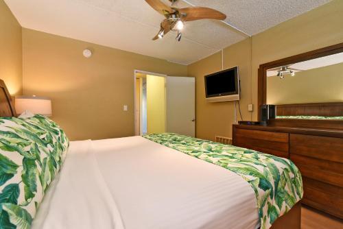 Apartamento Kihei Akahi C-616 Condo