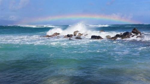 Apartamento Kihei Akahi Resort - Unit C505