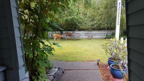Bed & Breakfast Huber's Inn Port Townsend