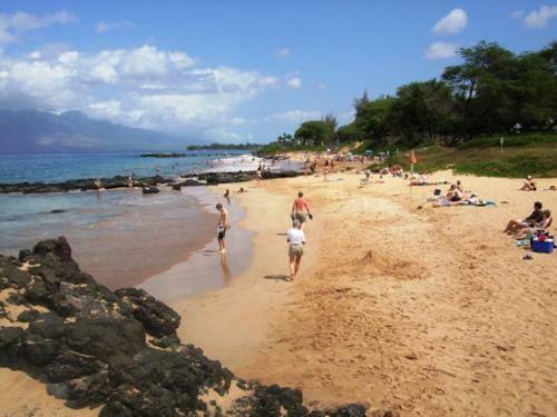 Apartamento Haleakala Shores #a-211 Condo