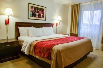 Hotel Comfort Inn Florence