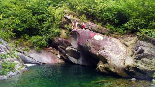 Frank's Landing