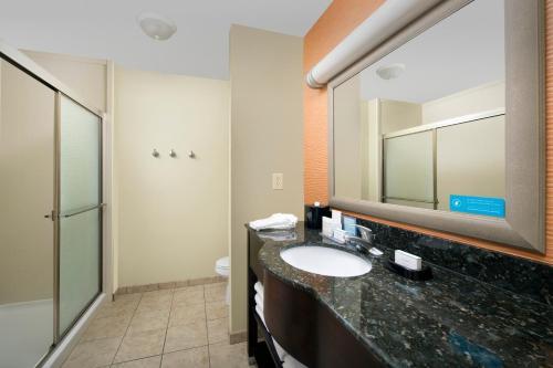 Hotel Hampton Inn Lenoir City
