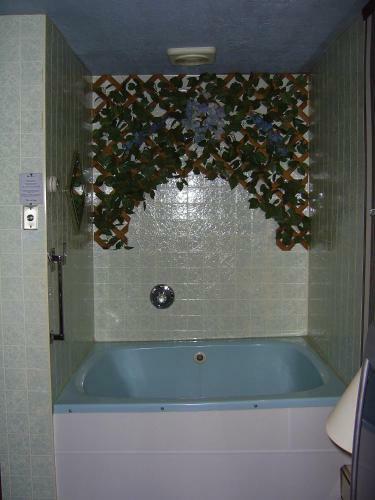 Cedar Grove Motel