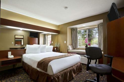Hotel Microtel Inn & Suites By Wyndham Lithonia/stone Mountain