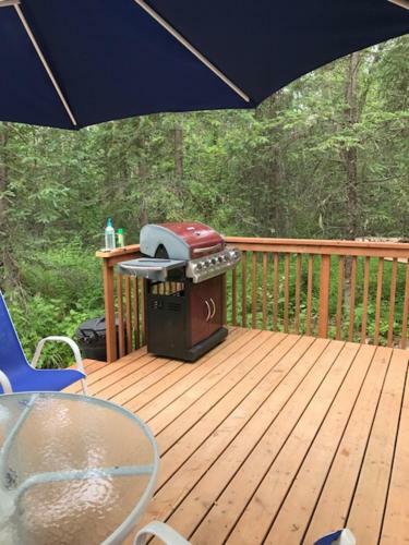 Peaceful Talkeetna Getaway #1