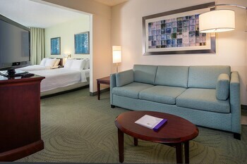 Hotel Springhill Suites Raleigh-durham Airport/research Triangle Park