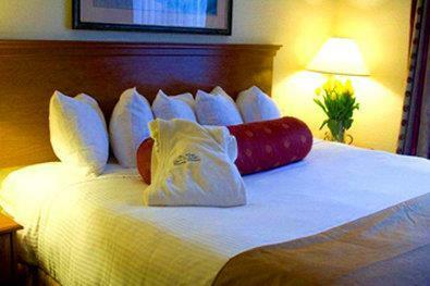Hotel Best Western Plus Lincoln Inn & Suites