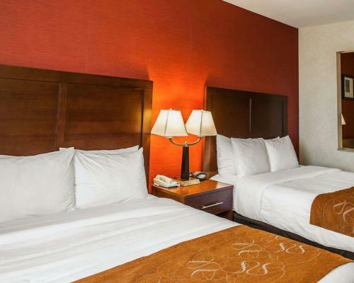 Hotel Comfort Suites Fishers/indianapolis Northeast