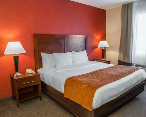 Hotel Comfort Suites Fishers/indianapolis Northeast