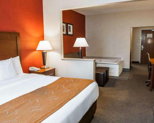 Hotel Comfort Suites Fishers/indianapolis Northeast