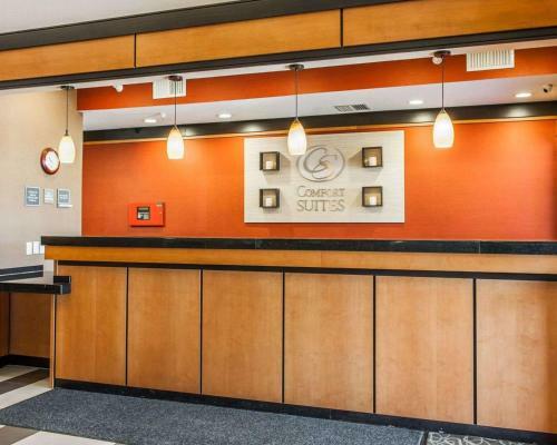 Hotel Comfort Suites Fishers/indianapolis Northeast