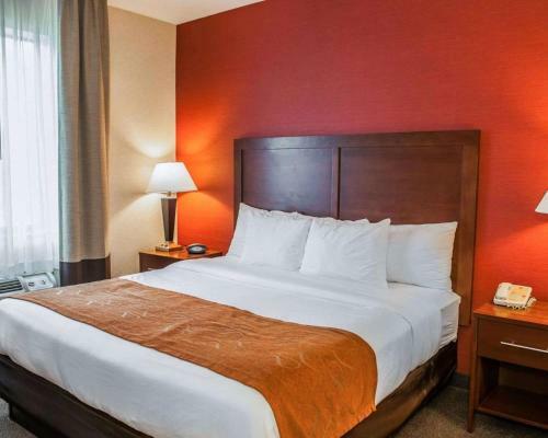 Hotel Comfort Suites Fishers/indianapolis Northeast