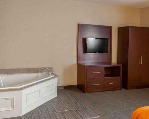 Hotel Comfort Suites Fishers/indianapolis Northeast