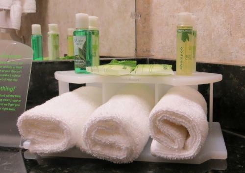 Hotel Holiday Inn Express And Suites Alpine