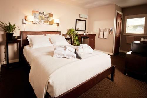 Bird Rock Hotel