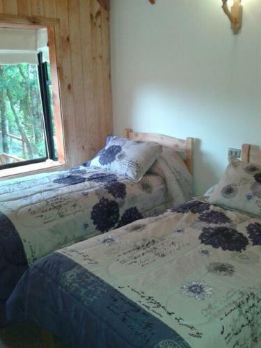 Lodge Caba�as Aliwen Caburgua