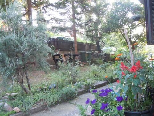 Hostal Guest House Vila Biljana