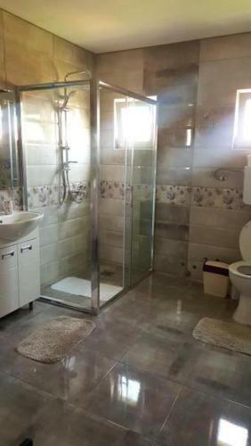Hostal Guest House Dana