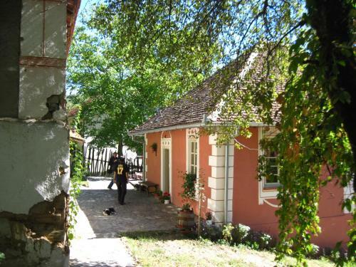Hostal Ethno Village Slatkovac
