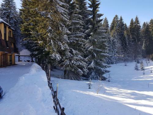 Apartamento Mitrova?ki Konak