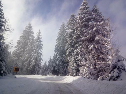 Vikendica Beli Bor